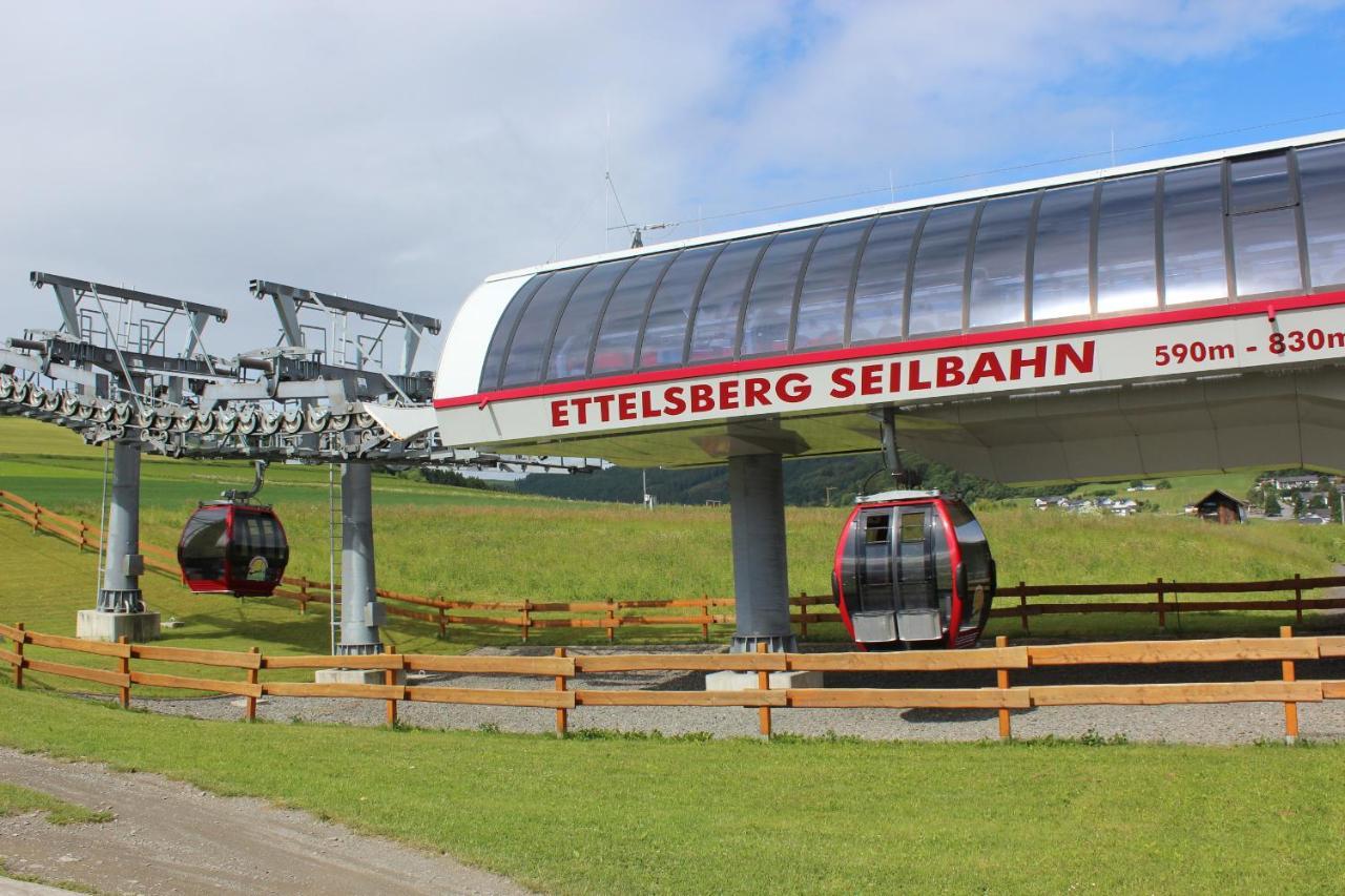 Ferienwohnung Mohnwiese Und Blumenwiese Willingen  Exterior photo